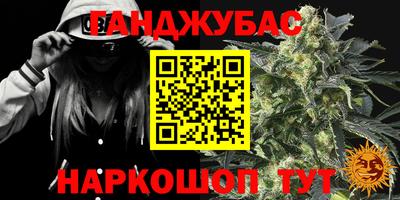 МДПВ Славгород