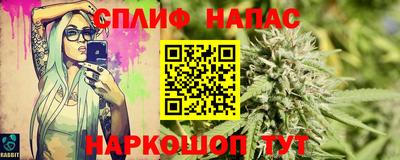 тгк Сланцы