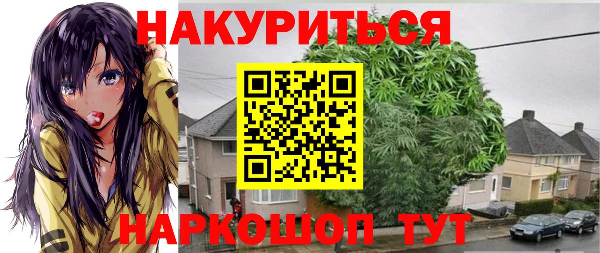 Шишки марихуана семена  Вход с VPN  Астрахань  МАРИХУАНА OG Kush  Марихуана ГИДРОПОН 